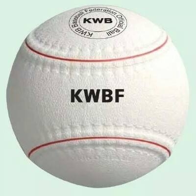 2017 KWB選手決定!